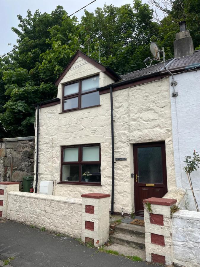 Tan Y Marian Villa Cwm-y-glo Bagian luar foto